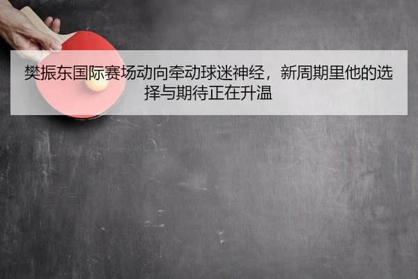 樊振东国际赛场动向牵动球迷神经，新周期里他的选择与期待正在升温